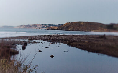 blog 3